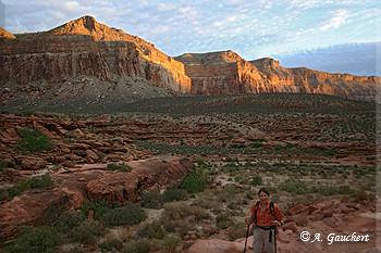 Hualapai Canyon